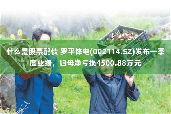 什么是股票配债 罗平锌电(002114.SZ)发布一季度业绩，归母净亏损4500.88万元