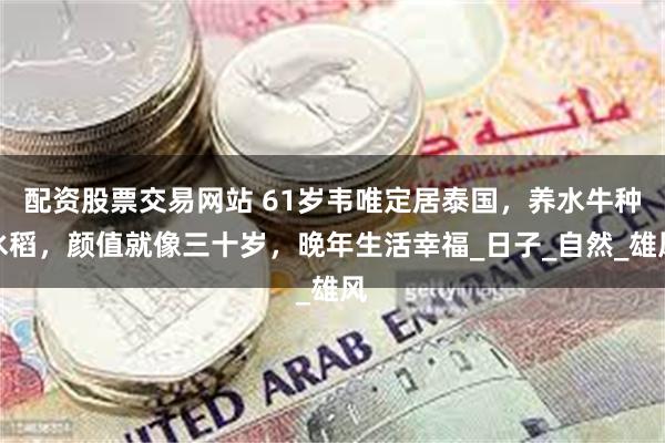 配资股票交易网站 61岁韦唯定居泰国，养水牛种水稻，颜值就像三十岁，晚年生活幸福_日子_自然_雄风