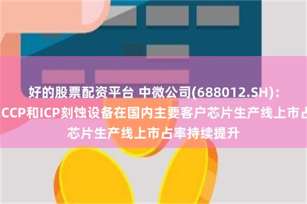 好的股票配资平台 中微公司(688012.SH)：2024年公司CCP和ICP刻蚀设备在国内主要客户芯片生产线上市占率持续提升