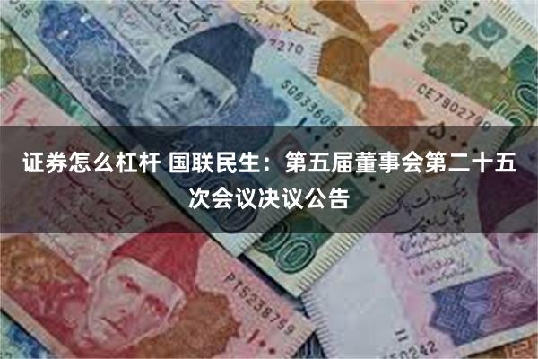 证券怎么杠杆 国联民生：第五届董事会第二十五次会议决议公告