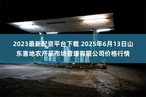 2023最新配资平台下载 2025年6月13日山东喜地农产品市场管理有限公司价格行情