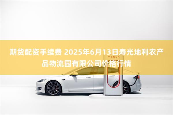 期货配资手续费 2025年6月13日寿光地利农产品物流园有限公司价格行情