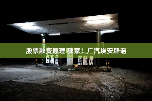 股票融资原理 独家！广汽埃安辟谣