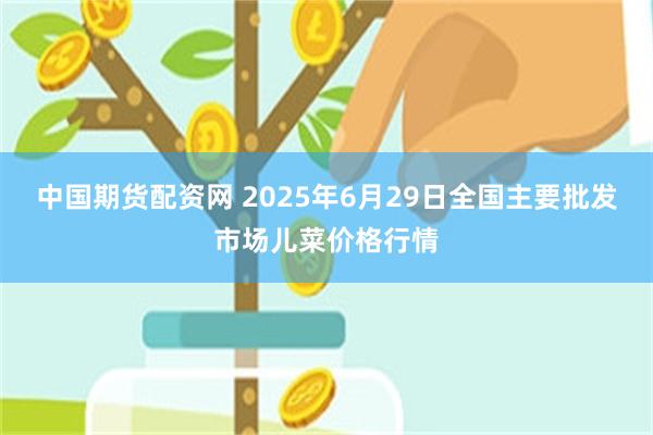 中国期货配资网 2025年6月29日全国主要批发市场儿菜价格行情