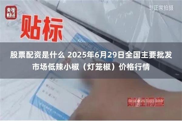 股票配资是什么 2025年6月29日全国主要批发市场低辣小椒（灯笼椒）价格行情