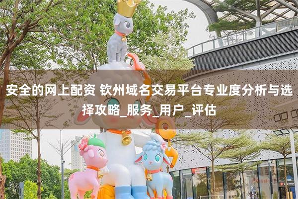 安全的网上配资 钦州域名交易平台专业度分析与选择攻略_服务_用户_评估
