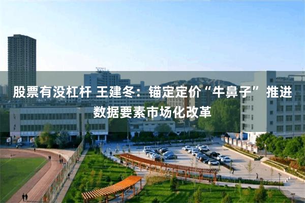 股票有没杠杆 王建冬：锚定定价“牛鼻子” 推进数据要素市场化改革