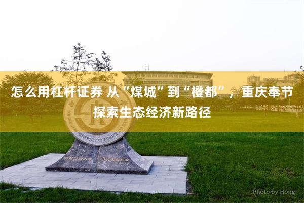 怎么用杠杆证券 从“煤城”到“橙都”，重庆奉节探索生态经济新路径