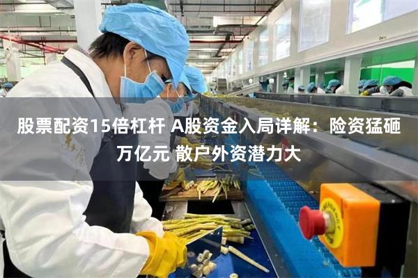 股票配资15倍杠杆 A股资金入局详解：险资猛砸万亿元 散户外资潜力大